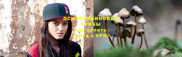 мяу мяу мука Алексеевка