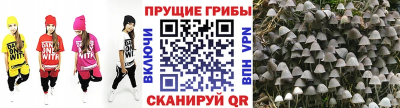 МЕГА ССЫЛКА  Березники  Псилоцибиновые грибы Psilocybine cubensis  купить наркоту 